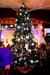 Архиерейская Рождественская елка в Городце