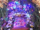 Рождественские дни в селе Богородское Варнавинского благочиния