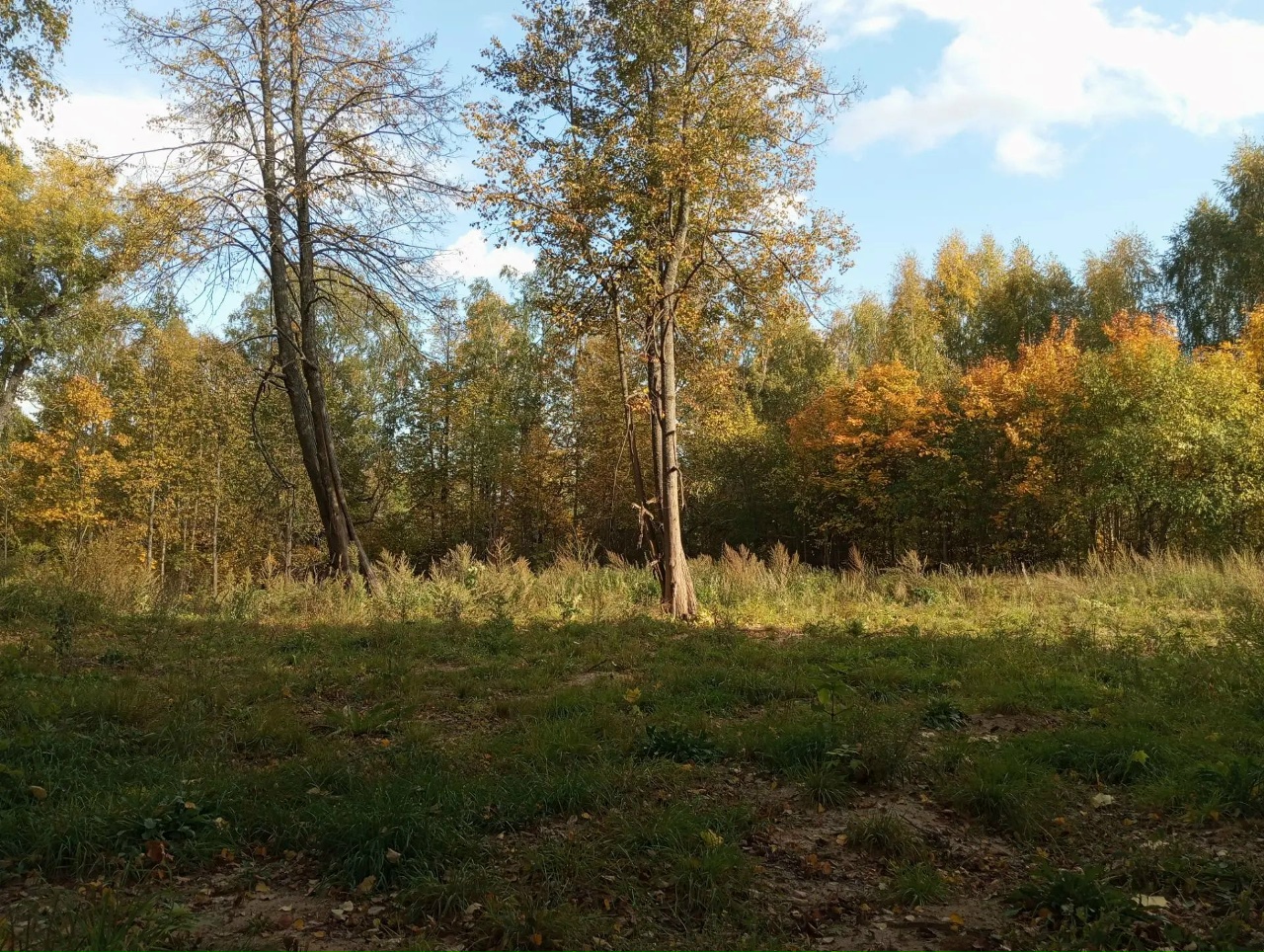 На месте разрушенного храма в селе Спасское Ветлужско-Уренского благочиния был совершен молебен