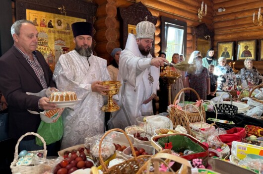 Викарии Нижегородской епархии посетили приходы храмов, медицинские и социальные объекты Нижнего Новгорода