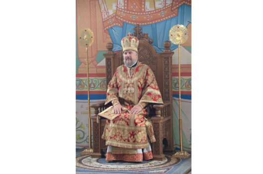 Глава Нижегородской митрополии поздравил епископа Находкинского и Преображенского Николая с 60-летием