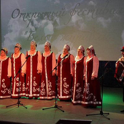 «День белых журавлей» в Городце