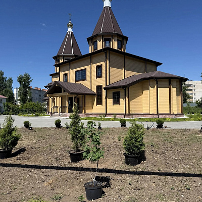Епископ Городецкий и Ветлужский Парамон возглавил работы по благоустройству территории храма святителя Николая Чудотворца г. Городца