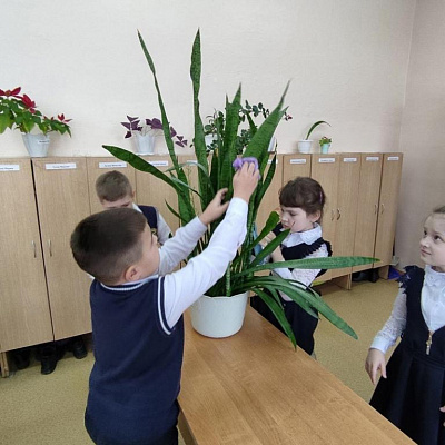 КИНОУРОКИ В ШКОЛЕ