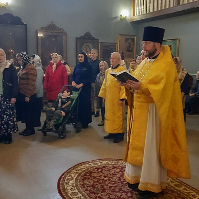 В храме в честь Владимирской иконы Божией Матери Сормовского благочиния встретили новую икону афонских старцев