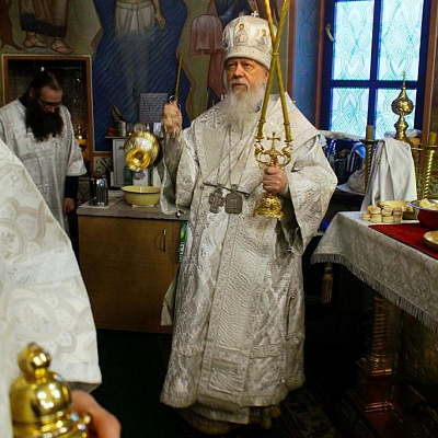В Неделю по Богоявлении епископ Городецкий и Ветлужский Августин возглавил Литургию в кафедральном соборе Городца