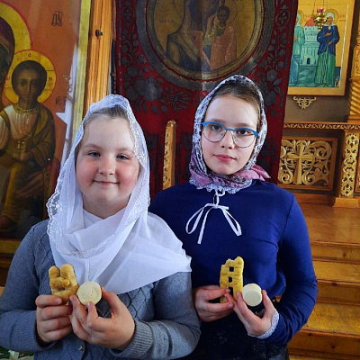 Акция «Лесенки» в Воскресенском благочинии