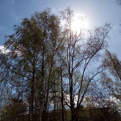 Праздник Пасхи в Семенове