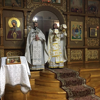 Крещение Господне в Воскресенском