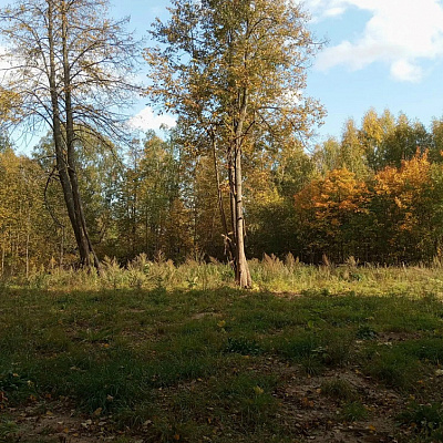 На месте разрушенного храма в селе Спасское Ветлужско-Уренского благочиния был совершен молебен