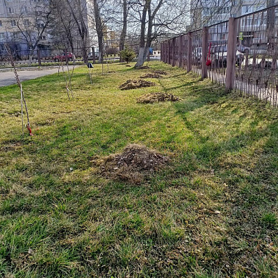 Воспитанники Александро-Невской православной гимназии провели субботник в социально-реабилитационном центре «Бригантина»