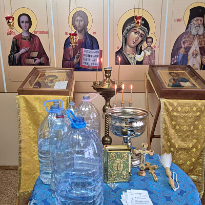 Помощник благочинного Нагорного округа поздравил юных пациентов в нижегородских детских больницах